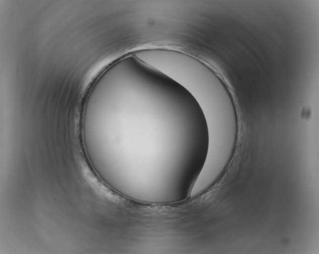 X0000112860952200909041550