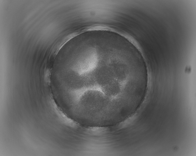 X0000112860953200909041550