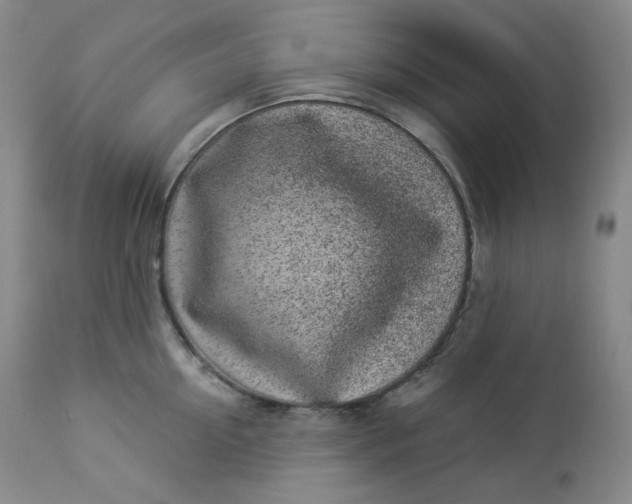 X0000112860954200909041550