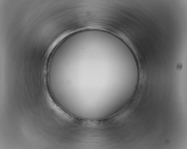 X0000112860955200909041550