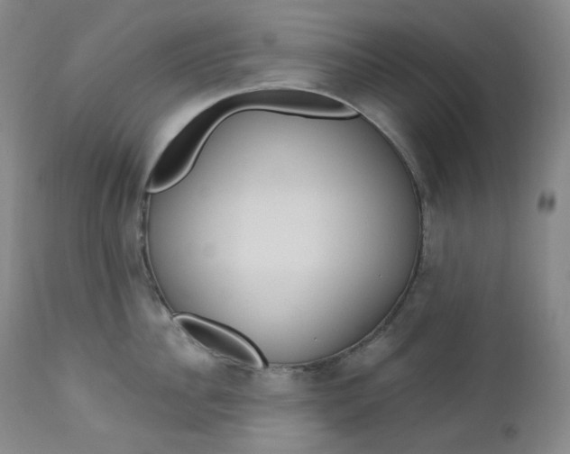 X0000112860956200909041550