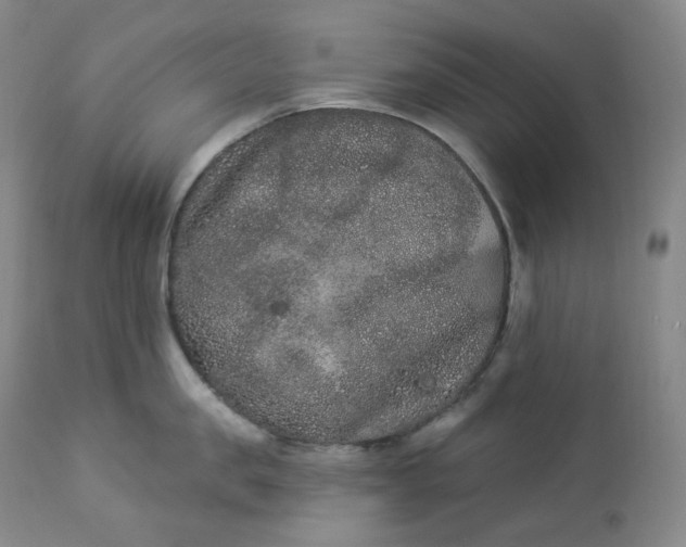 X0000112860957200909041550