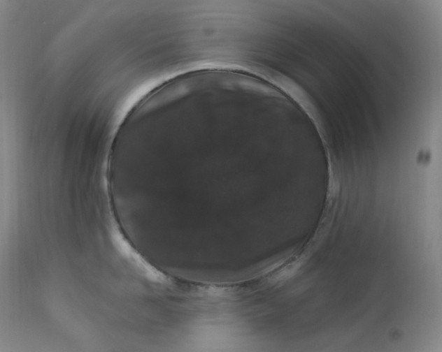 X0000112860958200909041550