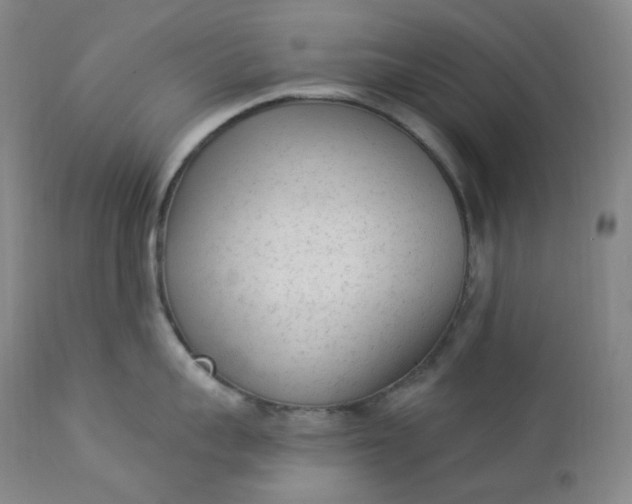 X0000112860959200909041550