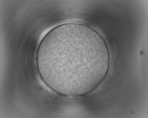 X0000112860960200909041550