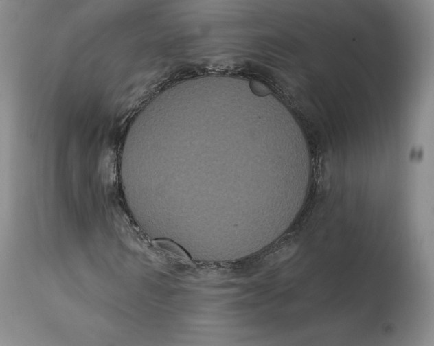 X0000112860962200909041549
