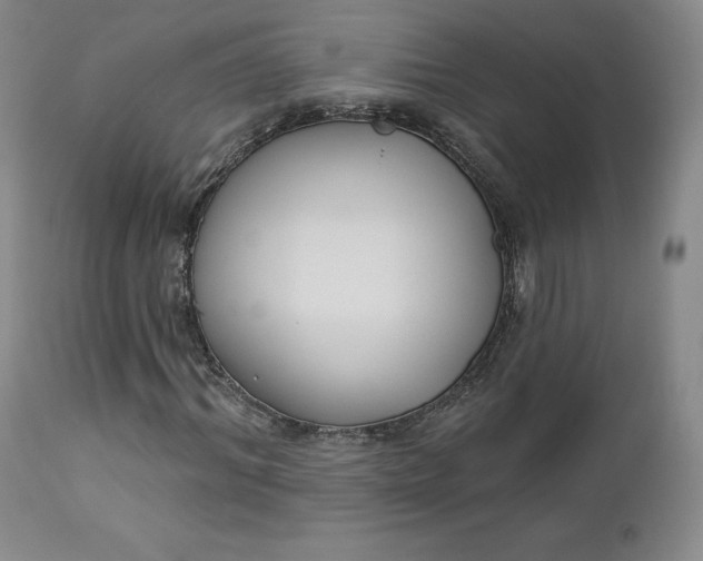 X0000112860964200909041549