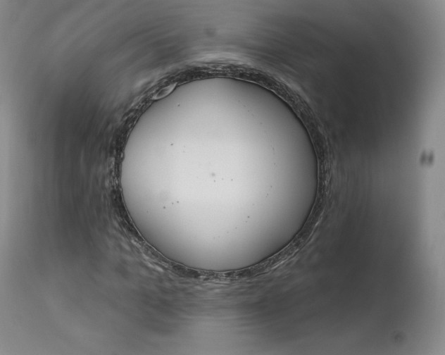 X0000112860965200909041549
