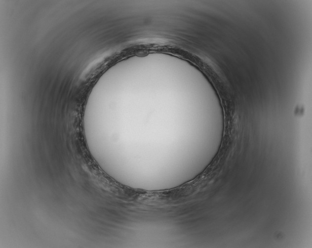 X0000112860967200909041549
