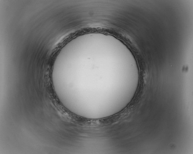 X0000112860968200909041549