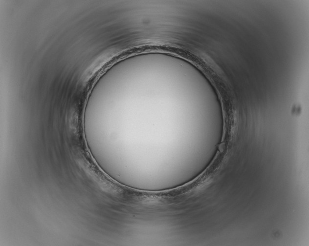 X0000112860969200909041549