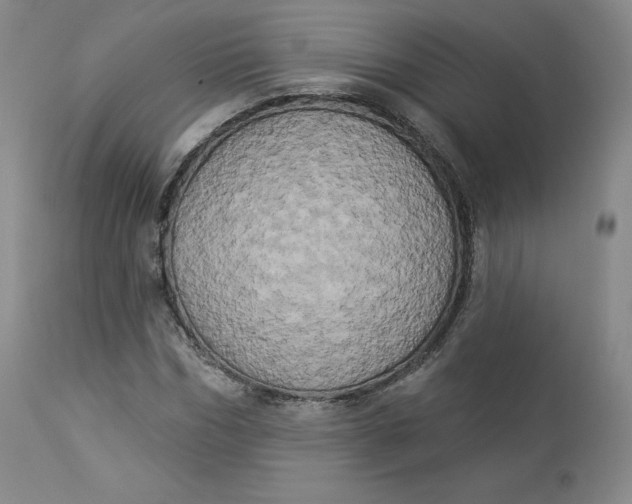 X0000112860970200909041549