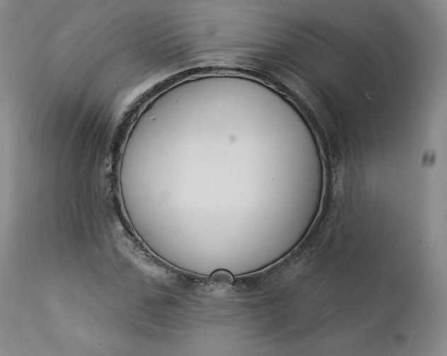 X0000112860971200909041549