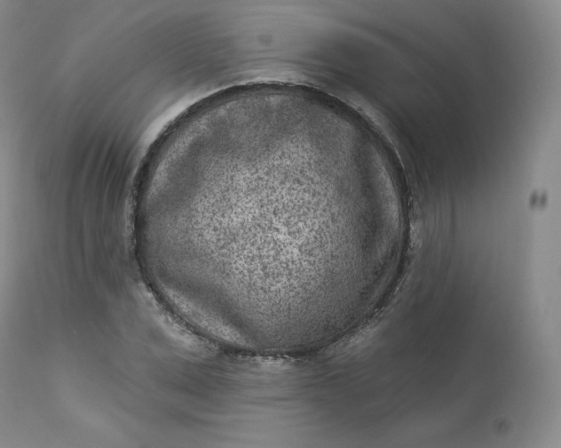 X0000112860975200909041549