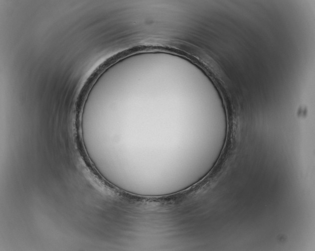 X0000112860976200909041549