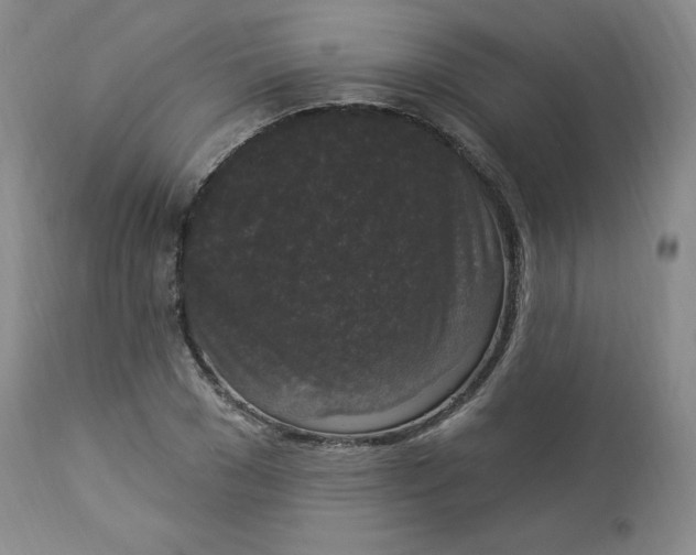 X0000112860977200909041549