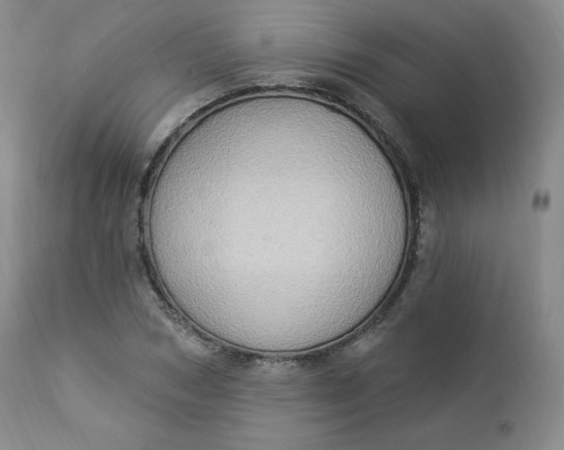 X0000112860978200909041549