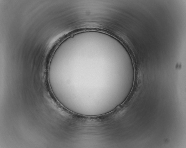 X0000112860979200909041549