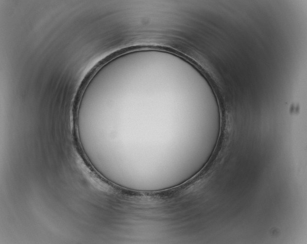 X0000112860980200909041549