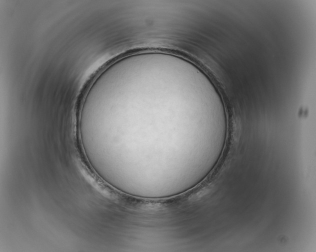X0000112860982200909041549