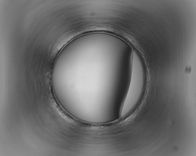 X0000112860985200909041549