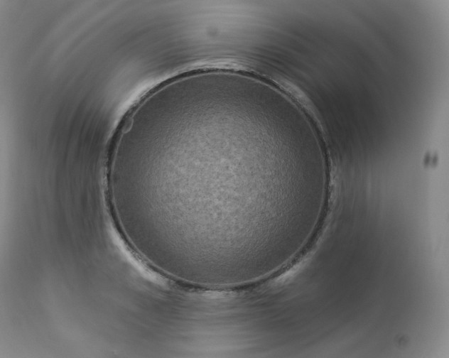 X0000112860989200909041549