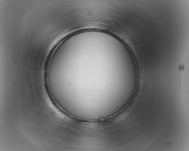 X0000112860991200909041549