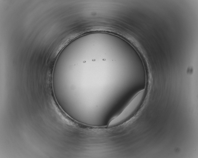 X0000112860993200909041549