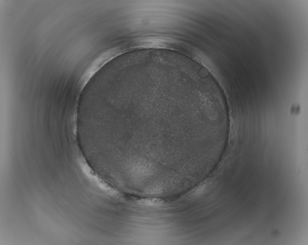 X0000112860994200909041549