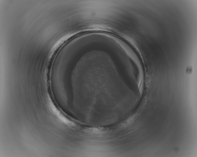 X0000112860995200909041549