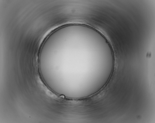 X0000112860996200909041549