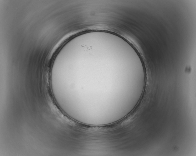 X0000112861000200909041549