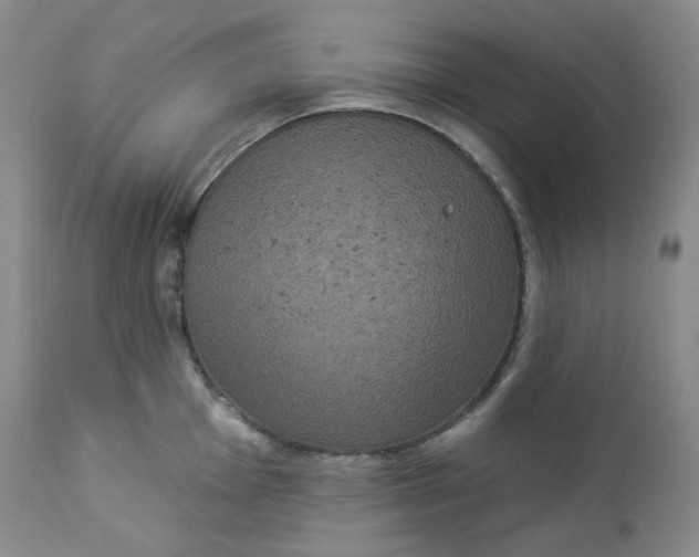 X0000112861001200909041549