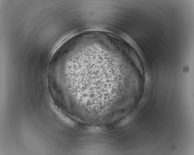 X0000112861002200909041549