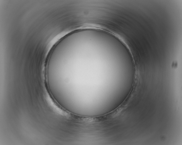 X0000112861003200909041549