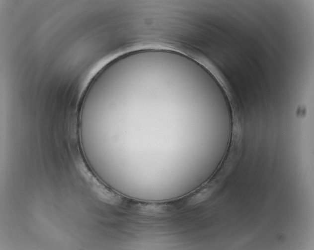 X0000112861004200909041549