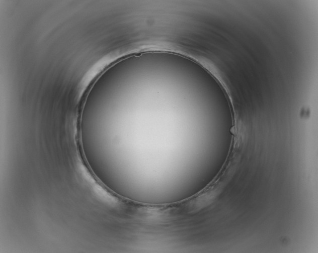 X0000112861005200909041549