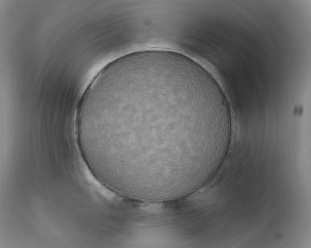 X0000112861006200909041549