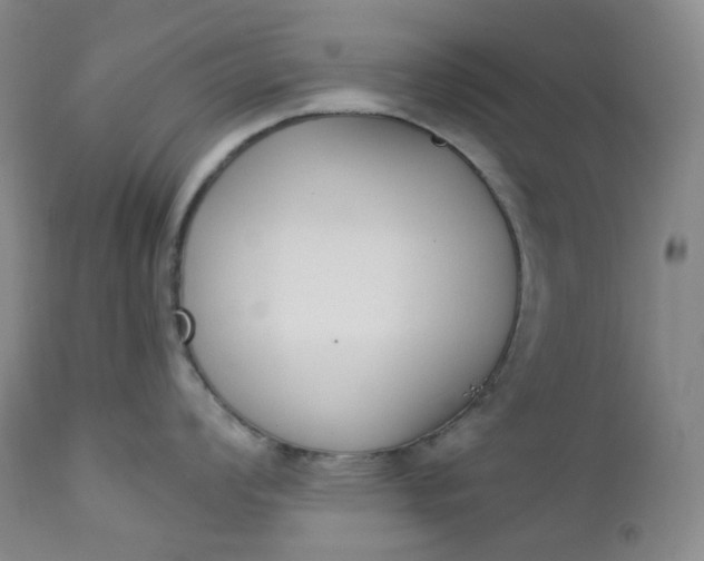 X0000112861008200909041549