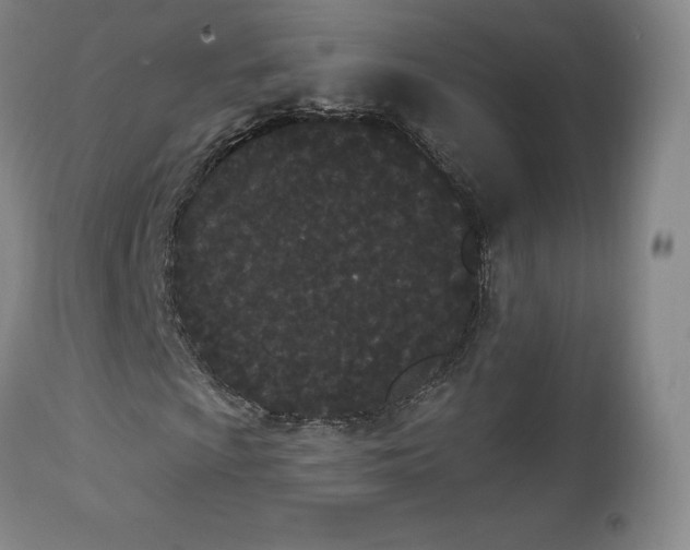 X0000112861009200909041548