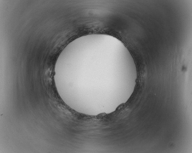 X0000112861010200909041548