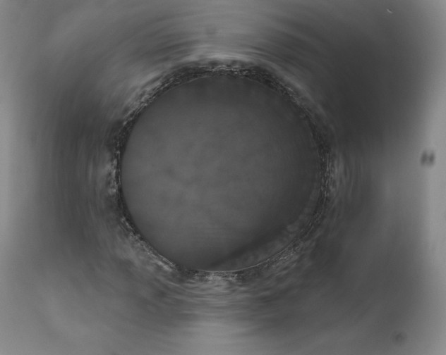 X0000112861013200909041548