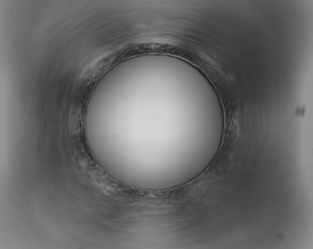 X0000112861014200909041548