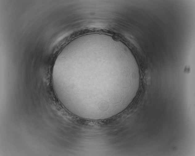 X0000112861015200909041548