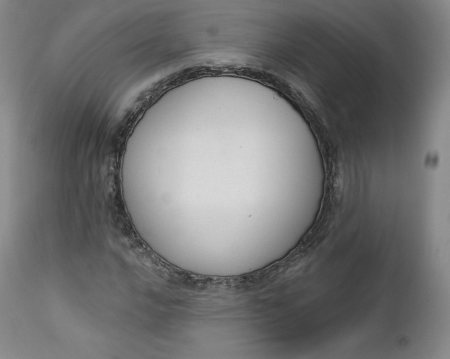 X0000112861016200909041548