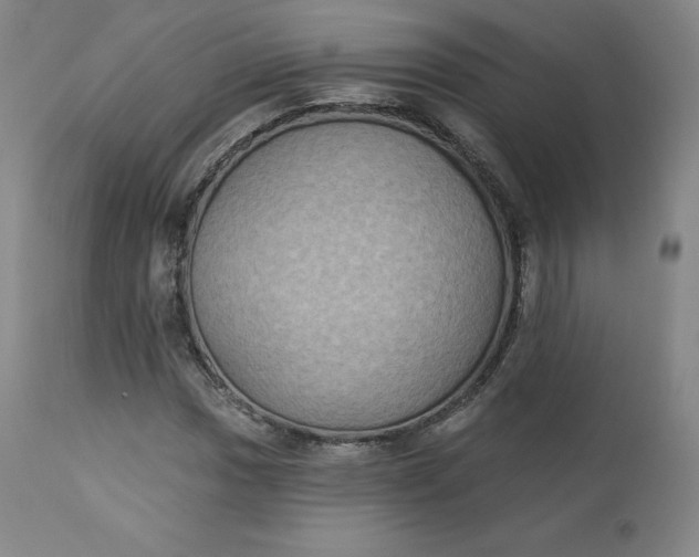 X0000112861017200909041548