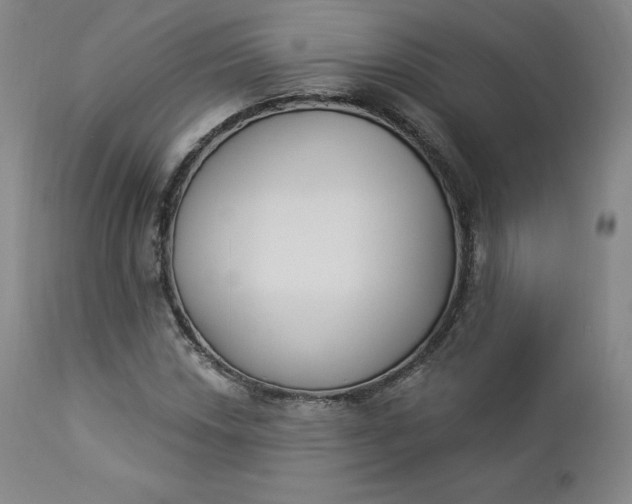 X0000112861018200909041548