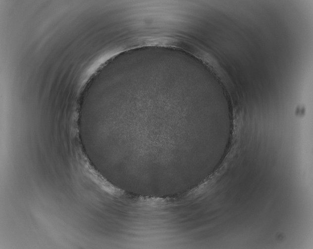 X0000112861019200909041548