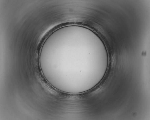 X0000112861021200909041548