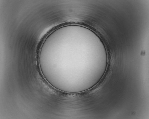 X0000112861022200909041548